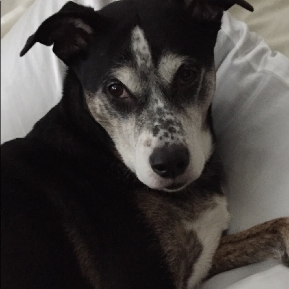 Meet your Posher, Jamie